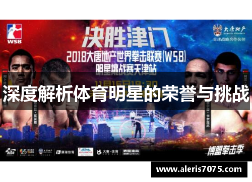 深度解析体育明星的荣誉与挑战
